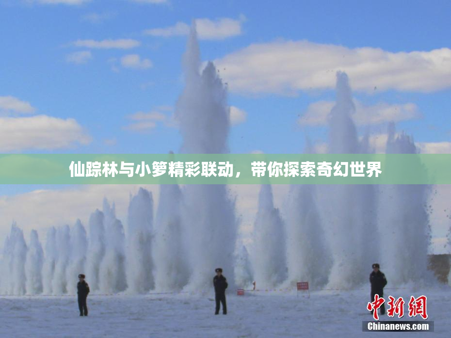 仙踪林与小箩精彩联动，带你探索奇幻世界