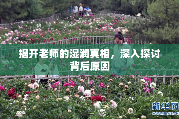 揭开老师的湿润真相，深入探讨背后原因