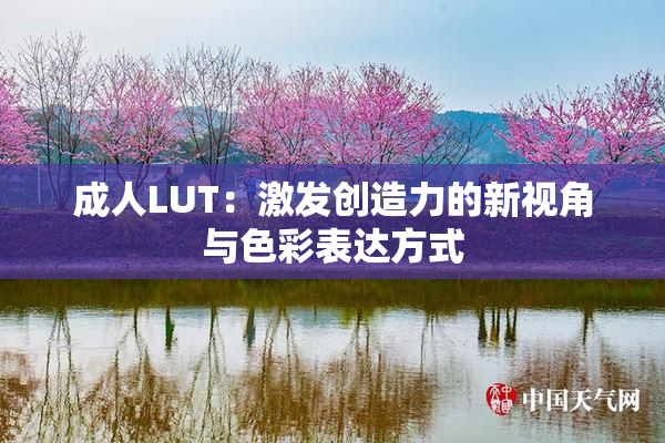 成人LUT：激发创造力的新视角与色彩表达方式