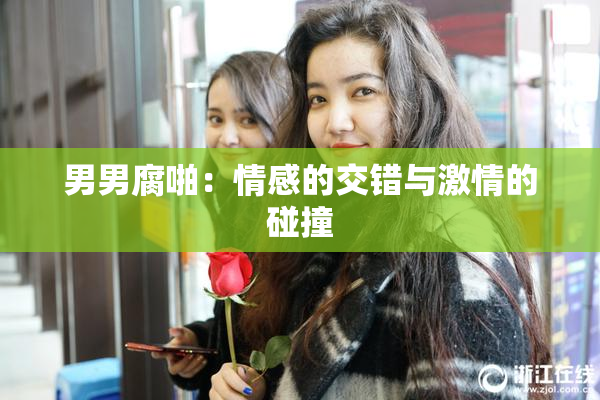 男男腐啪：情感的交错与激情的碰撞