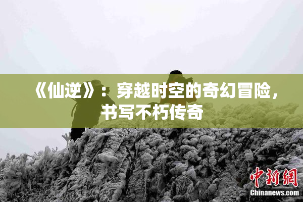 《仙逆》：穿越时空的奇幻冒险，书写不朽传奇
