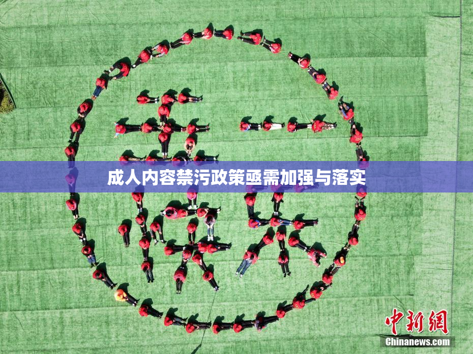 成人内容禁污政策亟需加强与落实