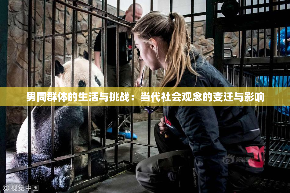 男同群体的生活与挑战：当代社会观念的变迁与影响
