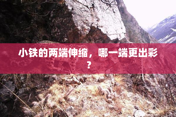 小铁的两端伸缩，哪一端更出彩？