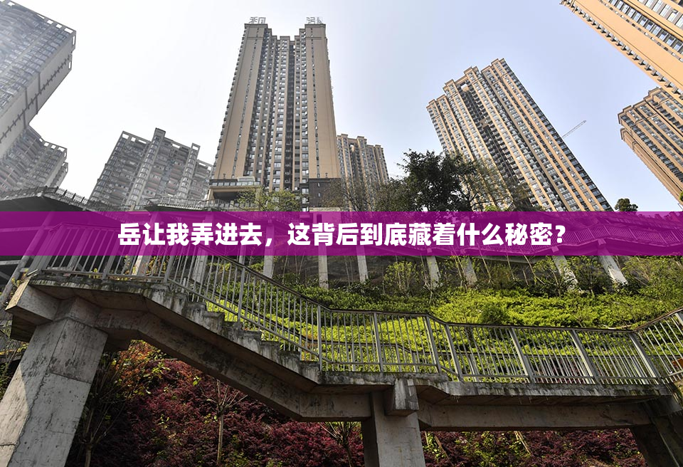 岳让我弄进去，这背后到底藏着什么秘密？
