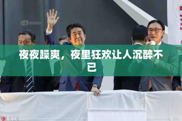 夜夜躁爽，夜里狂欢让人沉醉不已