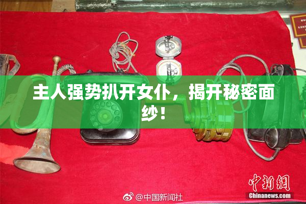 主人强势扒开女仆，揭开秘密面纱！