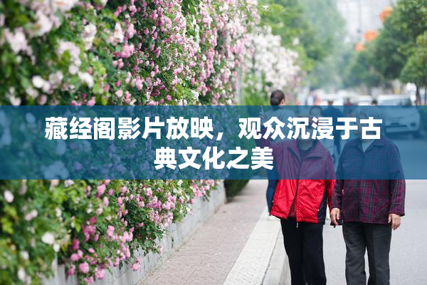 藏经阁影片放映，观众沉浸于古典文化之美