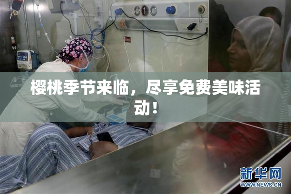 樱桃季节来临，尽享免费美味活动！