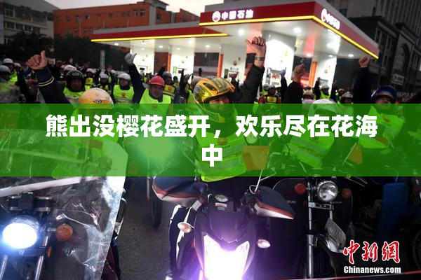 熊出没樱花盛开，欢乐尽在花海中
