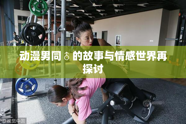 动漫男同♂的故事与情感世界再探讨