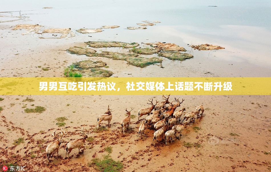 男男互吃引发热议，社交媒体上话题不断升级