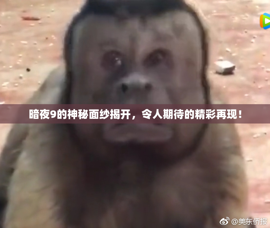 暗夜9的神秘面纱揭开，令人期待的精彩再现！