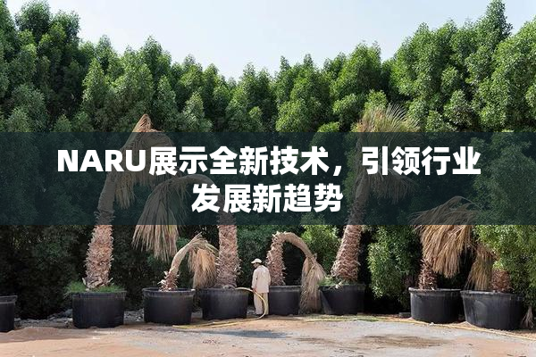 NARU展示全新技术，引领行业发展新趋势