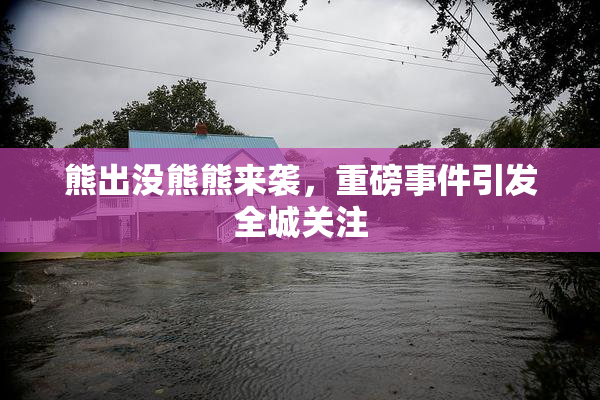 熊出没熊熊来袭，重磅事件引发全城关注