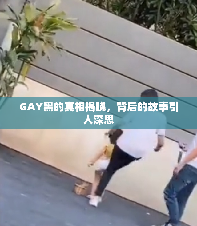 GAY黑的真相揭晓，背后的故事引人深思