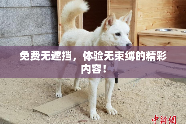 免费无遮挡，体验无束缚的精彩内容！