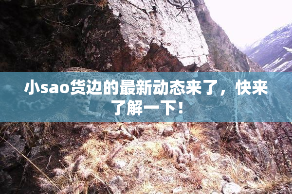 小sao货边的最新动态来了，快来了解一下！