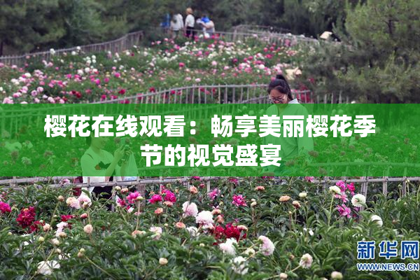 樱花在线观看：畅享美丽樱花季节的视觉盛宴
