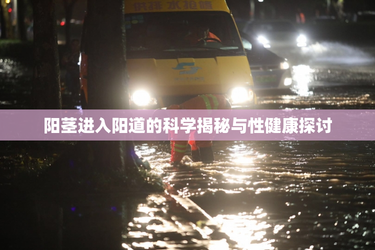 阳茎进入阳道的科学揭秘与性健康探讨