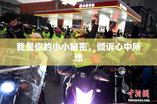 我是你的小小秘密，倾诉心中所想