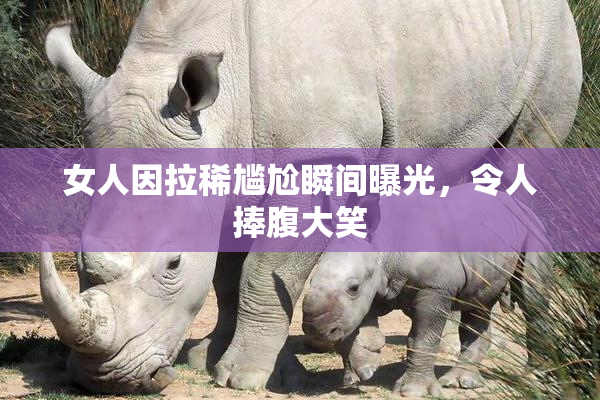 女人因拉稀尴尬瞬间曝光，令人捧腹大笑