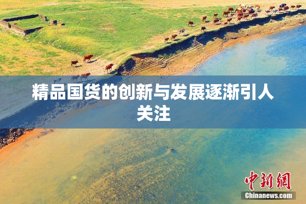 精品国货的创新与发展逐渐引人关注