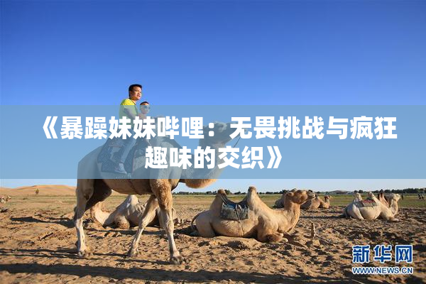 《暴躁妹妹哔哩：无畏挑战与疯狂趣味的交织》