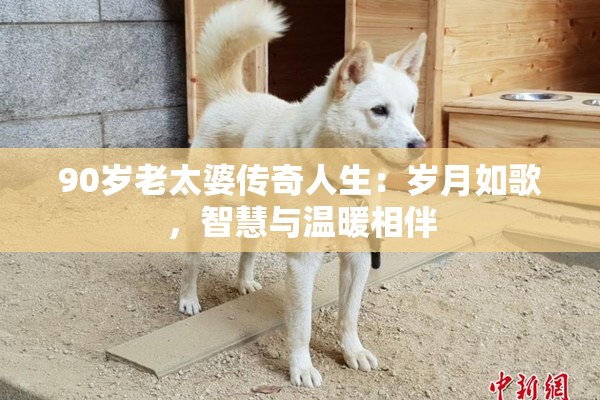 90岁老太婆传奇人生：岁月如歌，智慧与温暖相伴