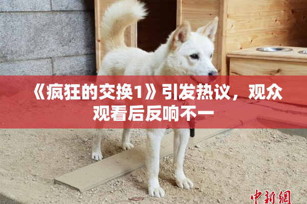 《疯狂的交换1》引发热议，观众观看后反响不一