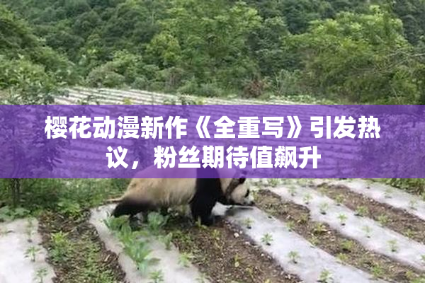 樱花动漫新作《全重写》引发热议，粉丝期待值飙升