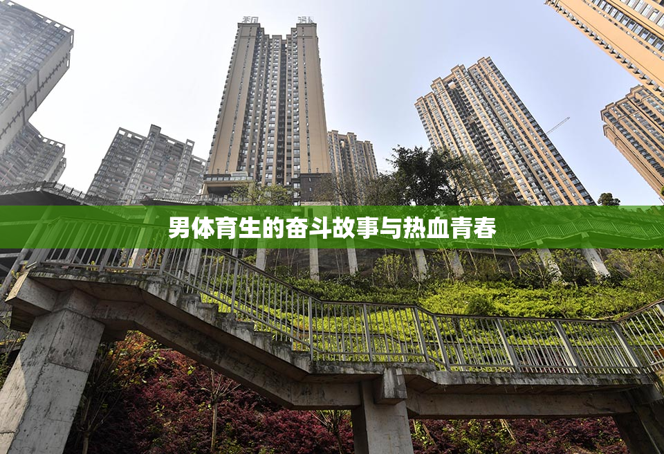 男体育生的奋斗故事与热血青春