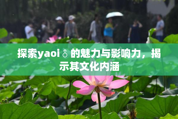 探索yaoi♂的魅力与影响力，揭示其文化内涵
