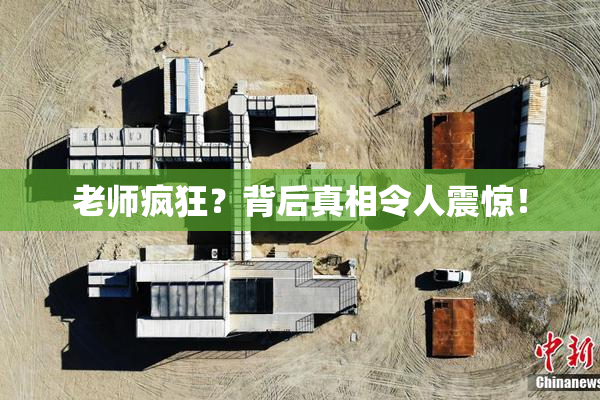 老师疯狂？背后真相令人震惊！