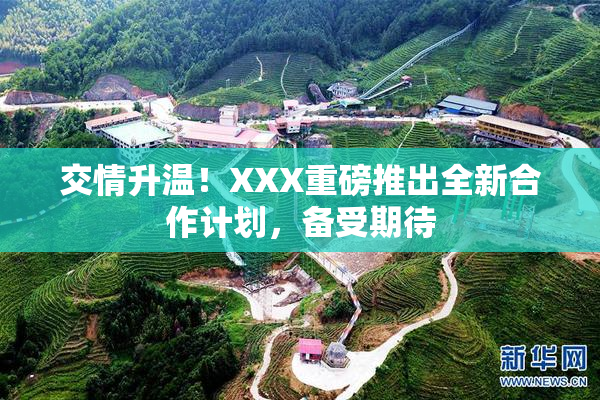 交情升温！XXX重磅推出全新合作计划，备受期待