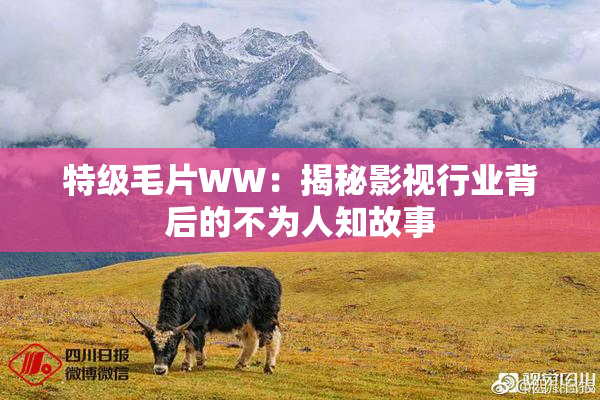 特级毛片WW：揭秘影视行业背后的不为人知故事