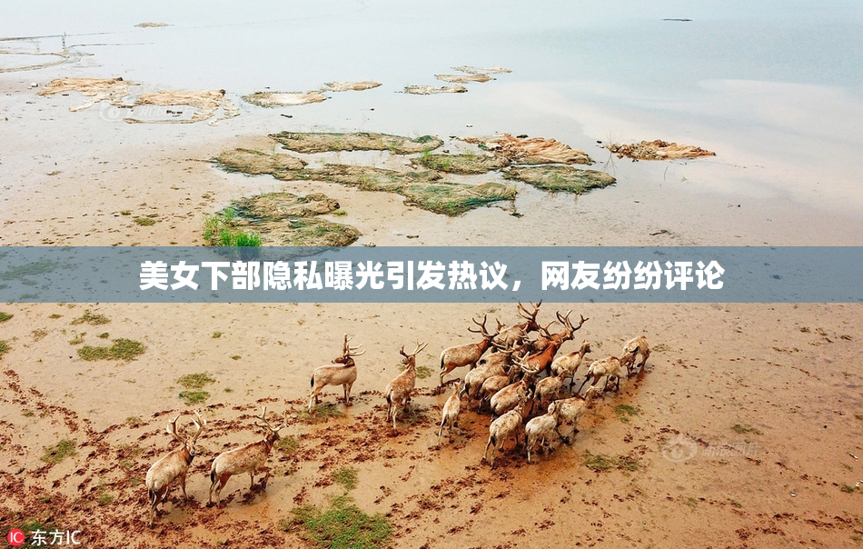 美女下部隐私曝光引发热议，网友纷纷评论