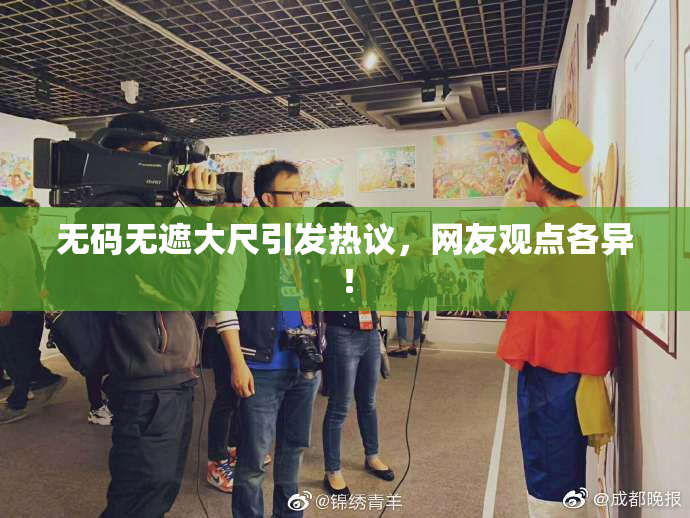无码无遮大尺引发热议，网友观点各异！