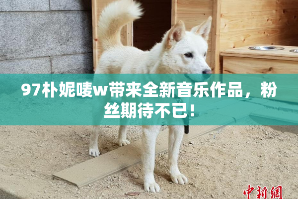 97朴妮唛w带来全新音乐作品，粉丝期待不已！