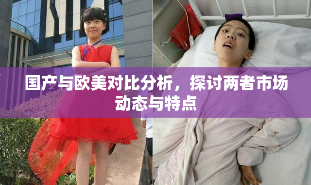 国产与欧美对比分析，探讨两者市场动态与特点