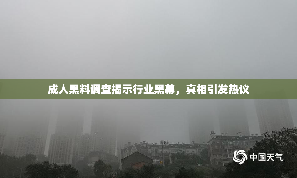 成人黑料调查揭示行业黑幕，真相引发热议