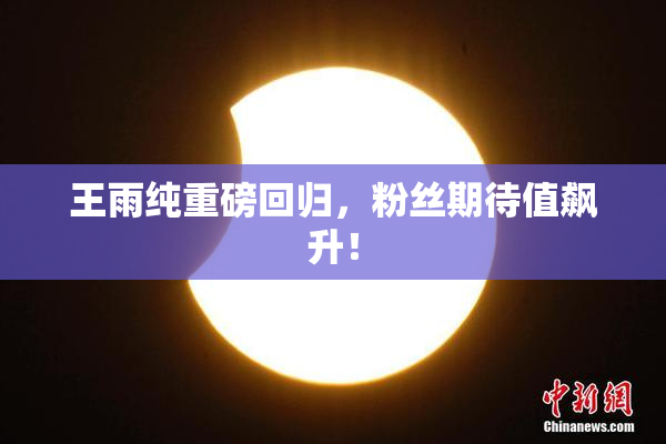 王雨纯重磅回归，粉丝期待值飙升！