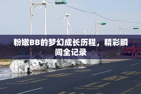粉嫩BB的梦幻成长历程，精彩瞬间全记录