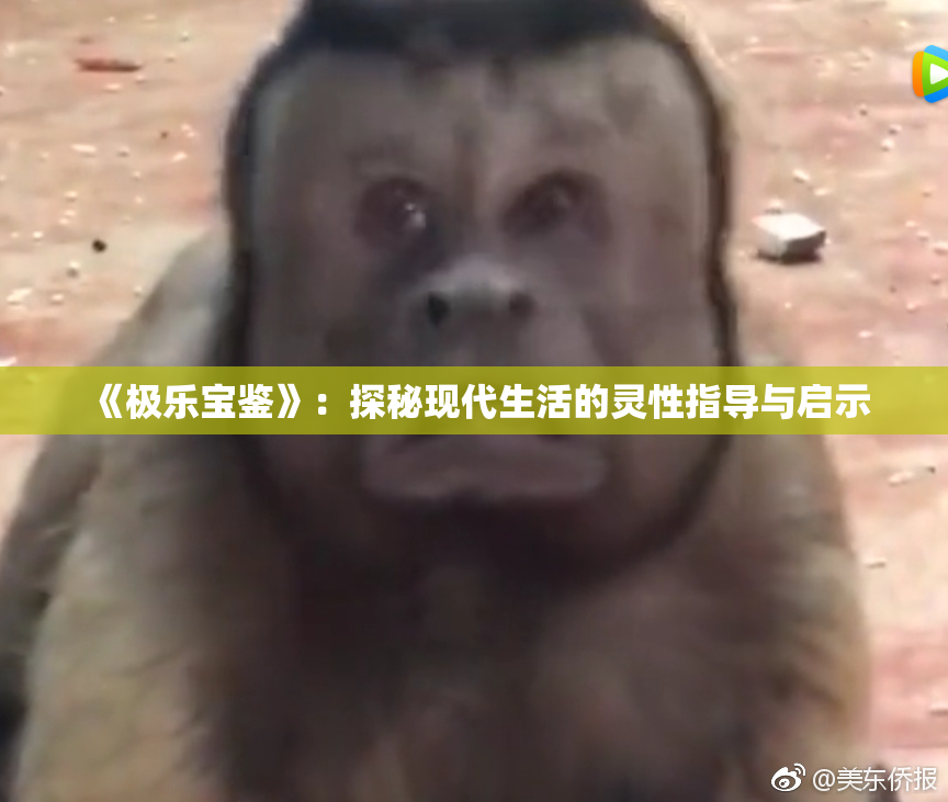 《极乐宝鉴》：探秘现代生活的灵性指导与启示