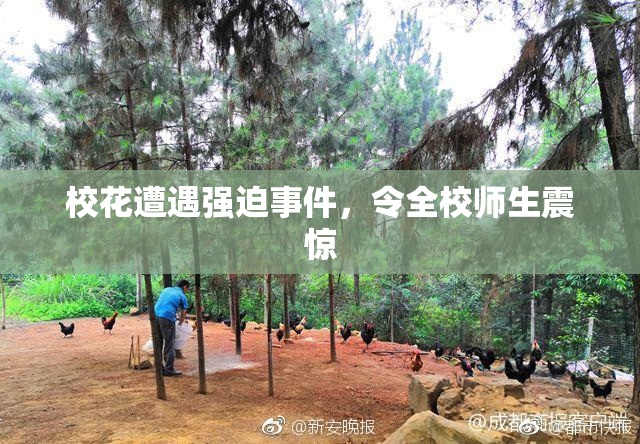 校花遭遇强迫事件，令全校师生震惊