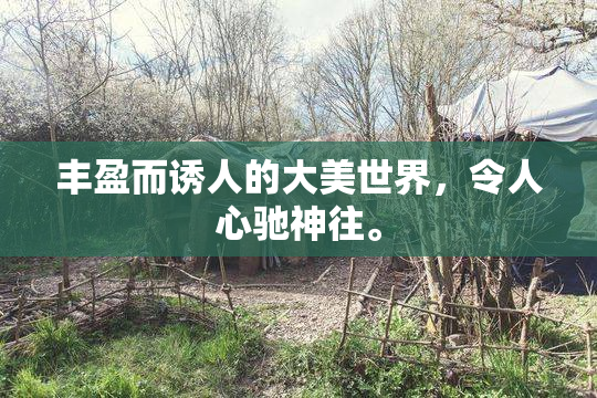 丰盈而诱人的大美世界，令人心驰神往。