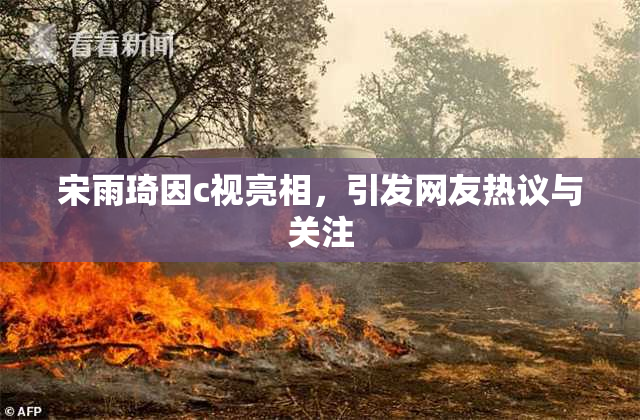宋雨琦因c视亮相，引发网友热议与关注
