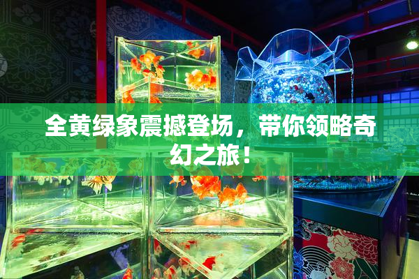 全黄绿象震撼登场，带你领略奇幻之旅！