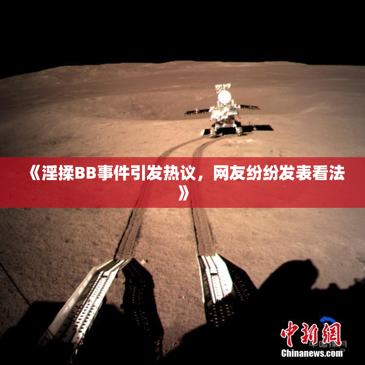 《淫揉BB事件引发热议，网友纷纷发表看法》