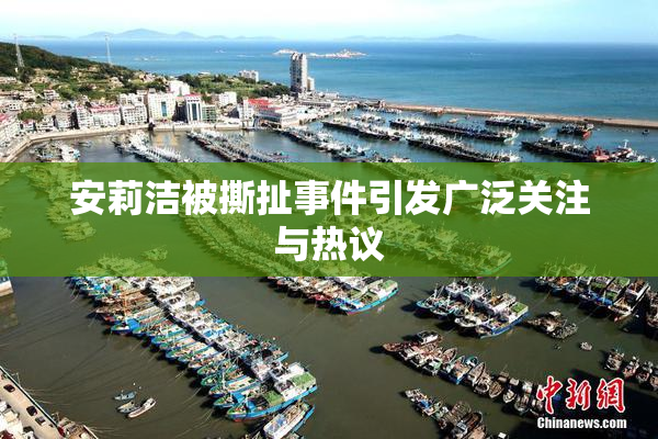 安莉洁被撕扯事件引发广泛关注与热议